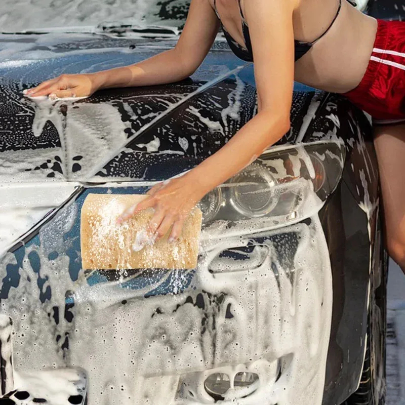 Autowasspons Grote honingraats - Car Detailing Brush recensie en prijs